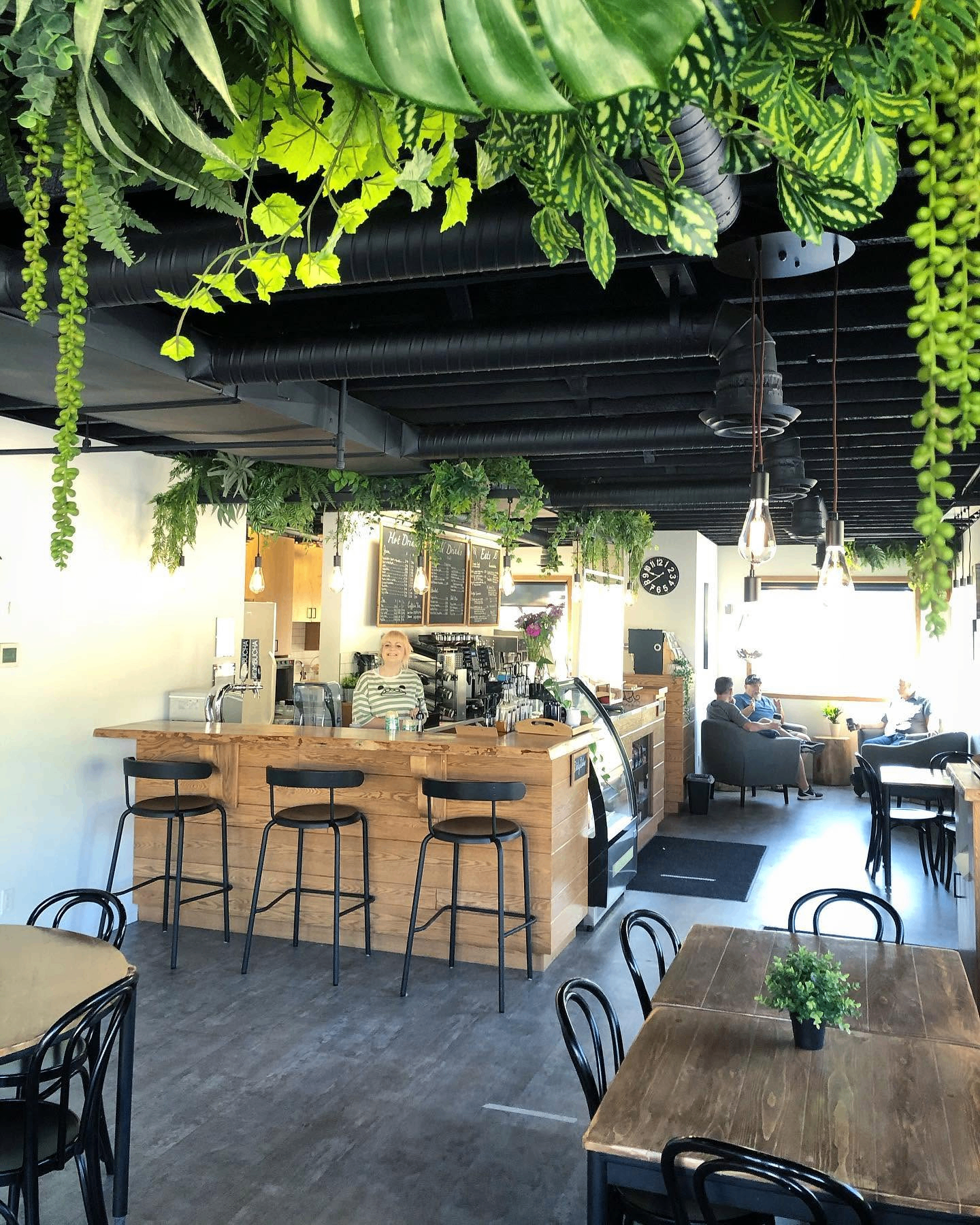 Inside Common Grounds — bar, seating, and hanging plants