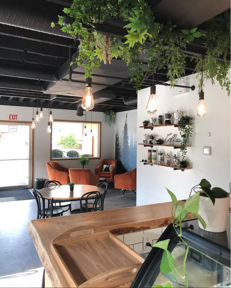 Inside the cafe with hanging plants